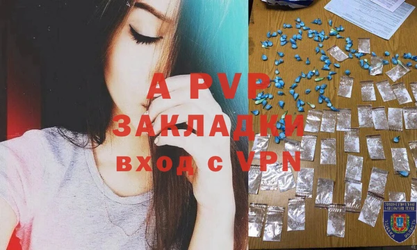 МДПВ Пересвет