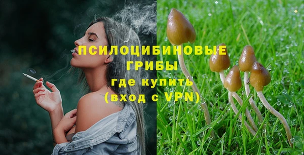 стафф Алзамай