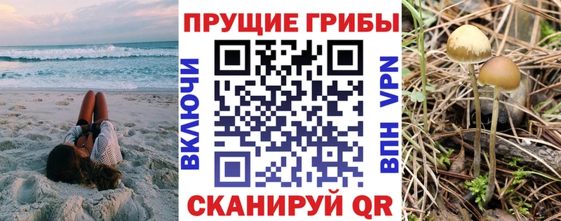 дарнет шоп Бахчисарай Псилоцибиновые грибы Magic Shrooms